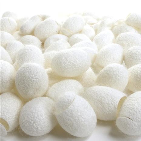 silk proteins
